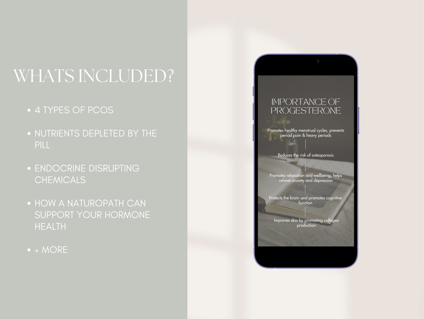 Canva hormone reels on menstrual cycles, PMS, and endocrine balance