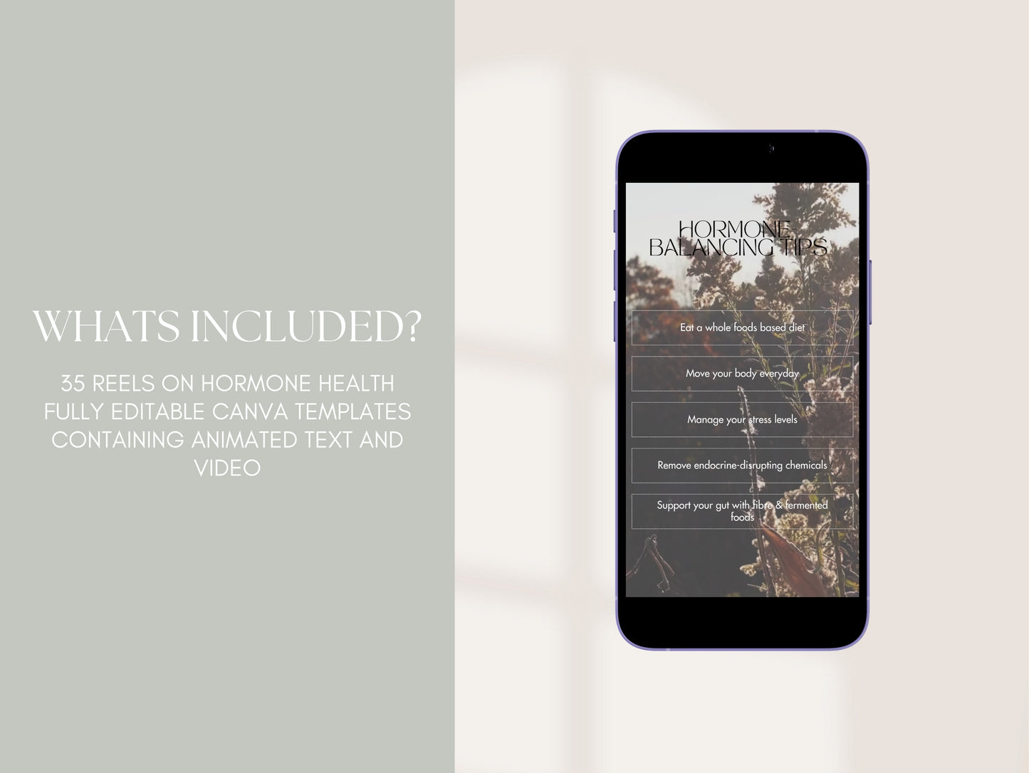 Instagram reels on hormones for functional medicine and nutritionists