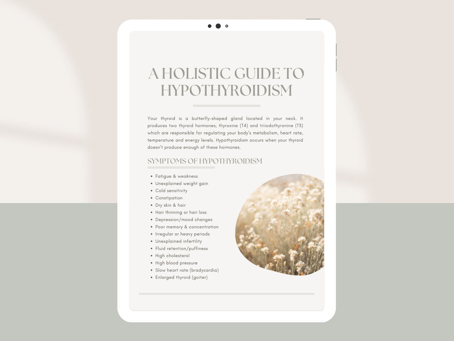 Client-ready hypothyroid patient guide for functional medicine practitioners