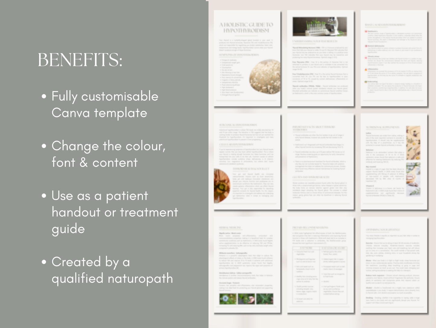 Hypothyroid management patient booklet for holistic health and naturopathic practices