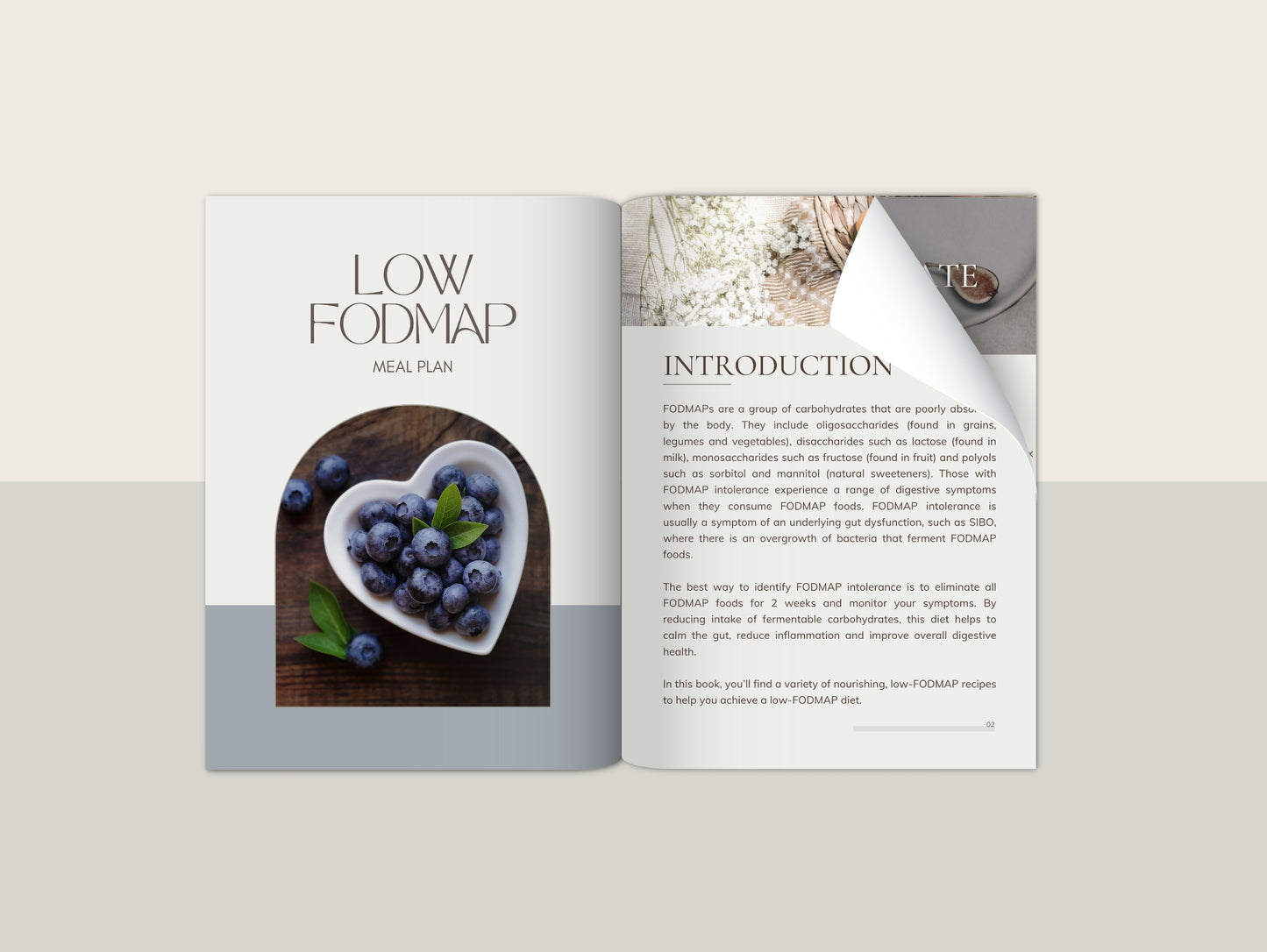 Low FODMAP meal plan with recipes for naturopaths and nutritionists
