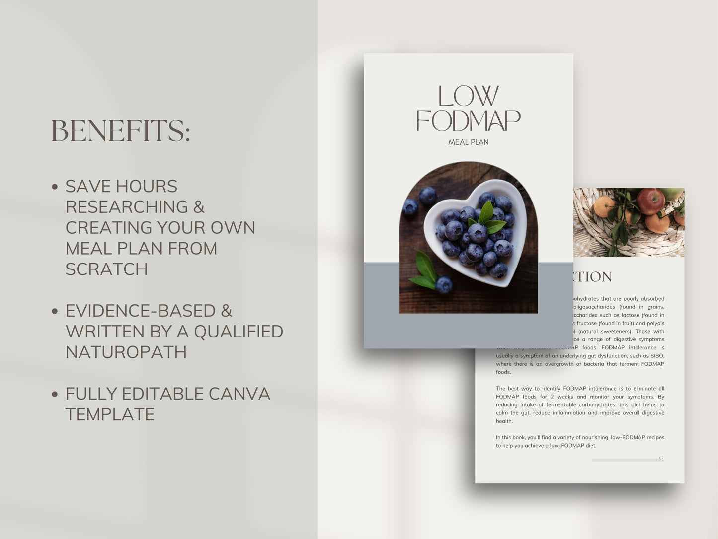 Editable SIBO, IBS, low FODMAP diet plan for dietitians and gut health professionals