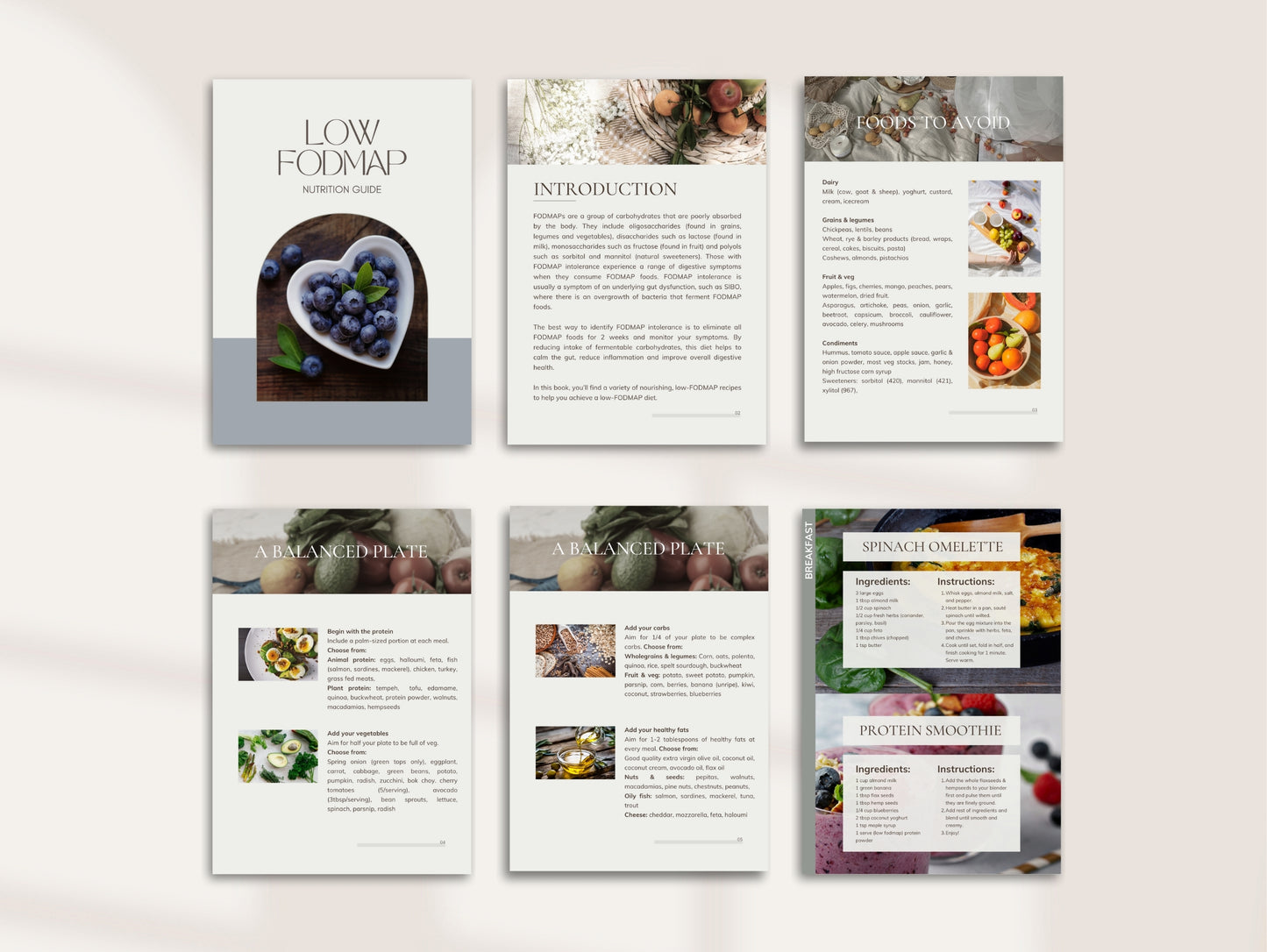 White-label low FODMAP meal plan with recipes for passive income