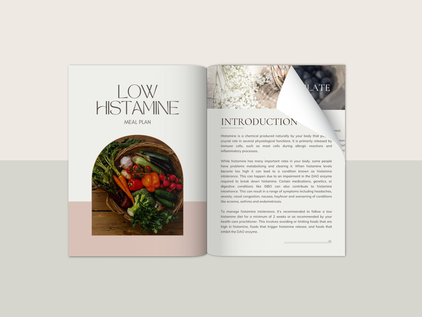Low histamine meal plan with recipes for naturopaths and nutritionists