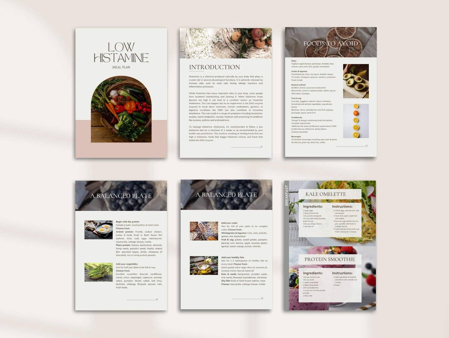 White-label low histamine meal plan template for passive income