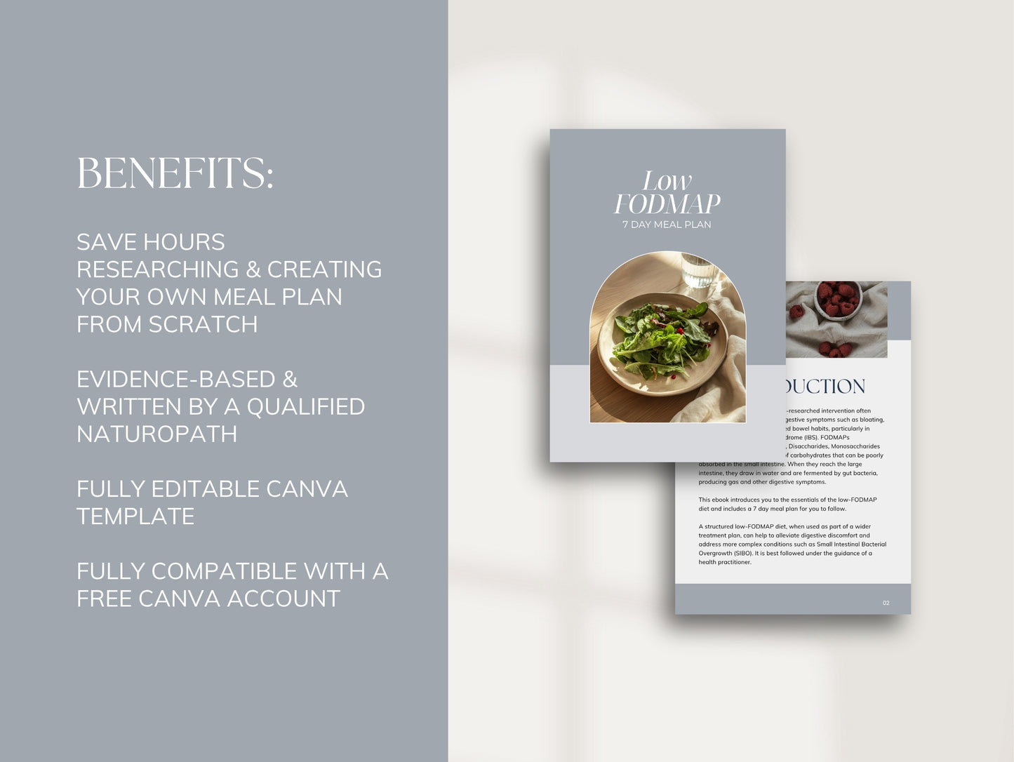 7 Day Low FODMAP Meal Plan