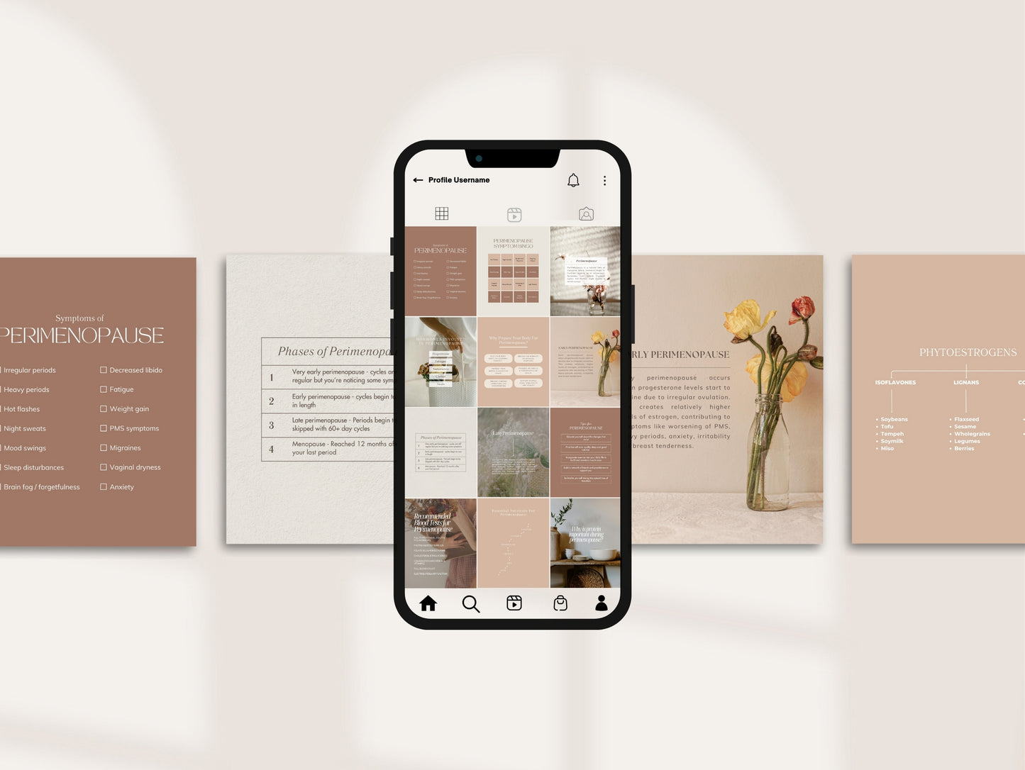 Perimenopause Instagram Canva Templates