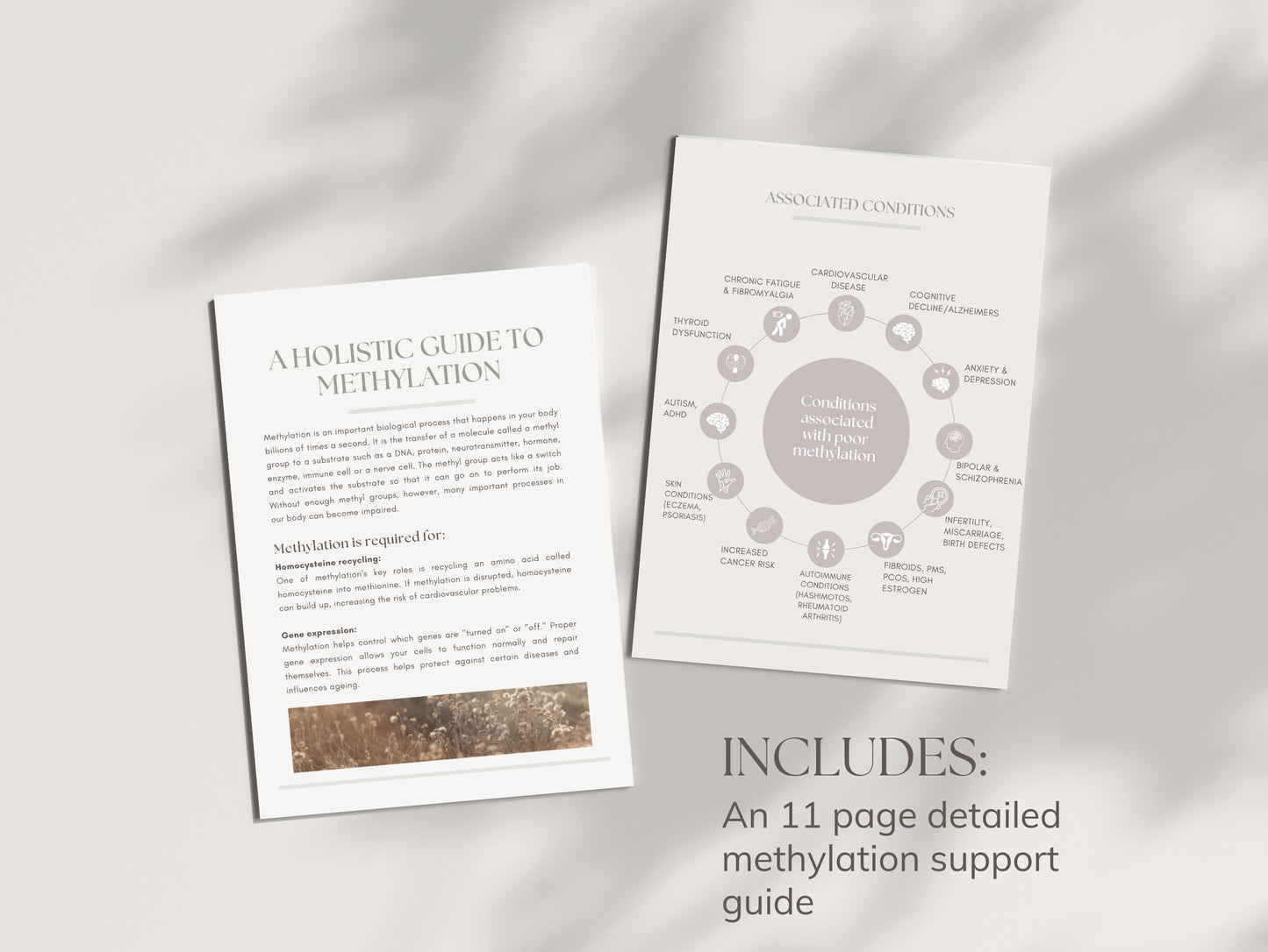 Done-for-you MTHFR patient guide for holistic health professionals and nutritionists