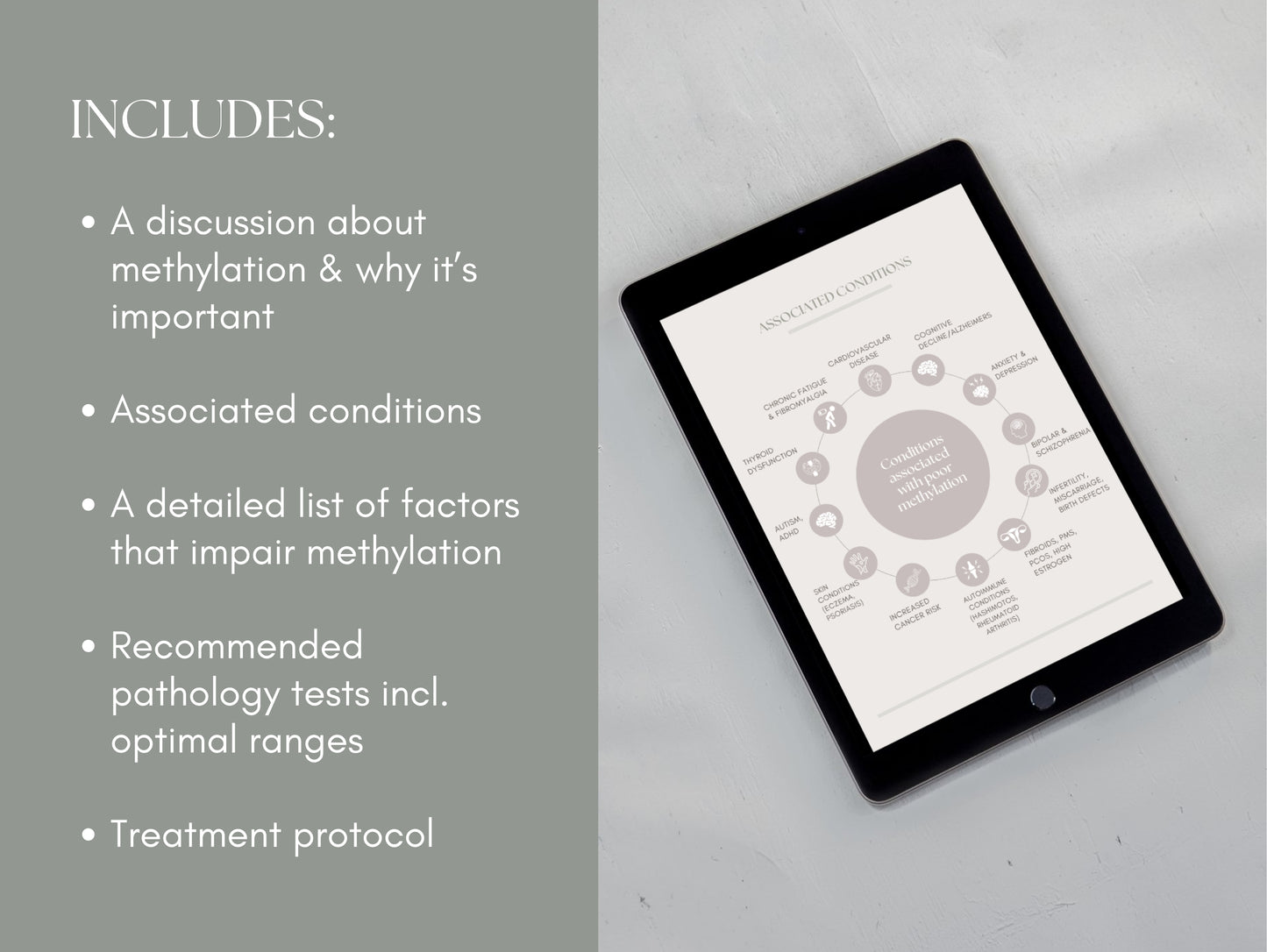 White-label MTHFR guide for passive income and patient education