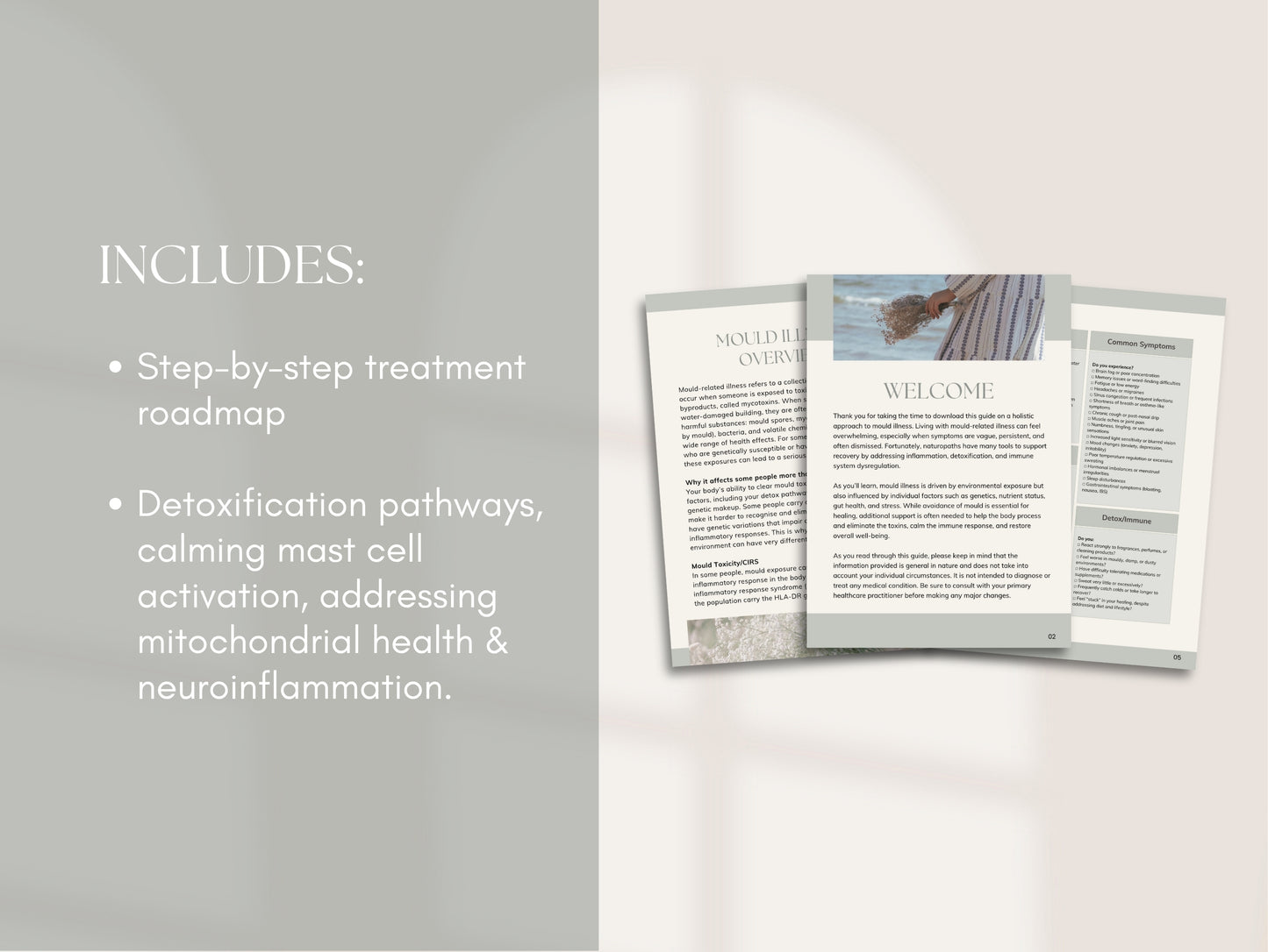 Mould Illness Patient Booklet