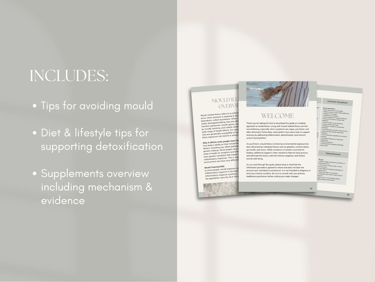 Mould Illness Patient Booklet