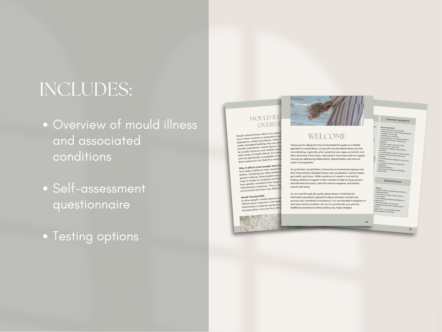 Mould Illness Patient Booklet