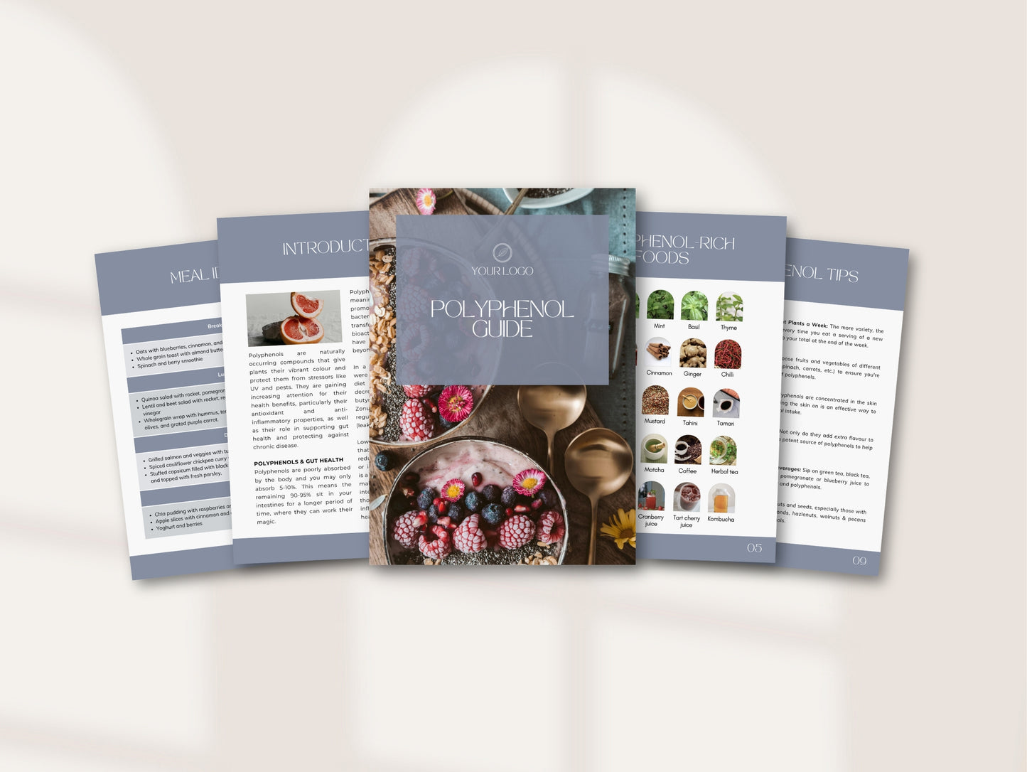 Polyphenol Patient Handout