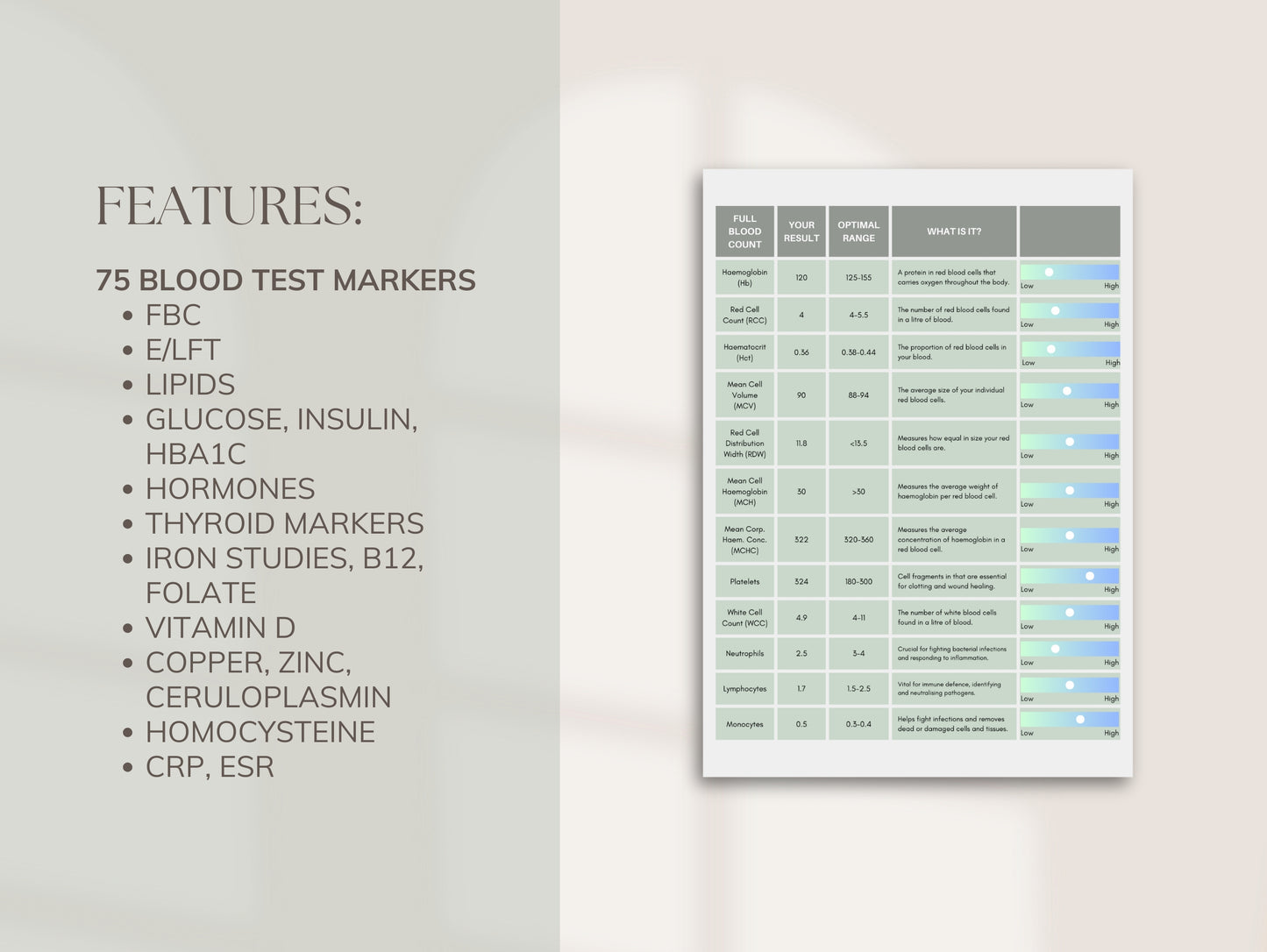 Functional blood test interpretation Canva template for wellness practitioners