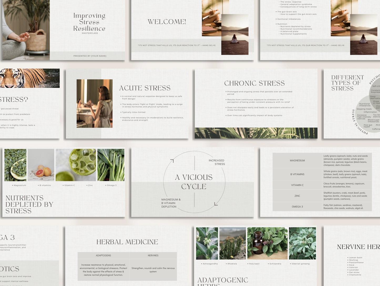 Wellness content library Canva bundle for health practitioners