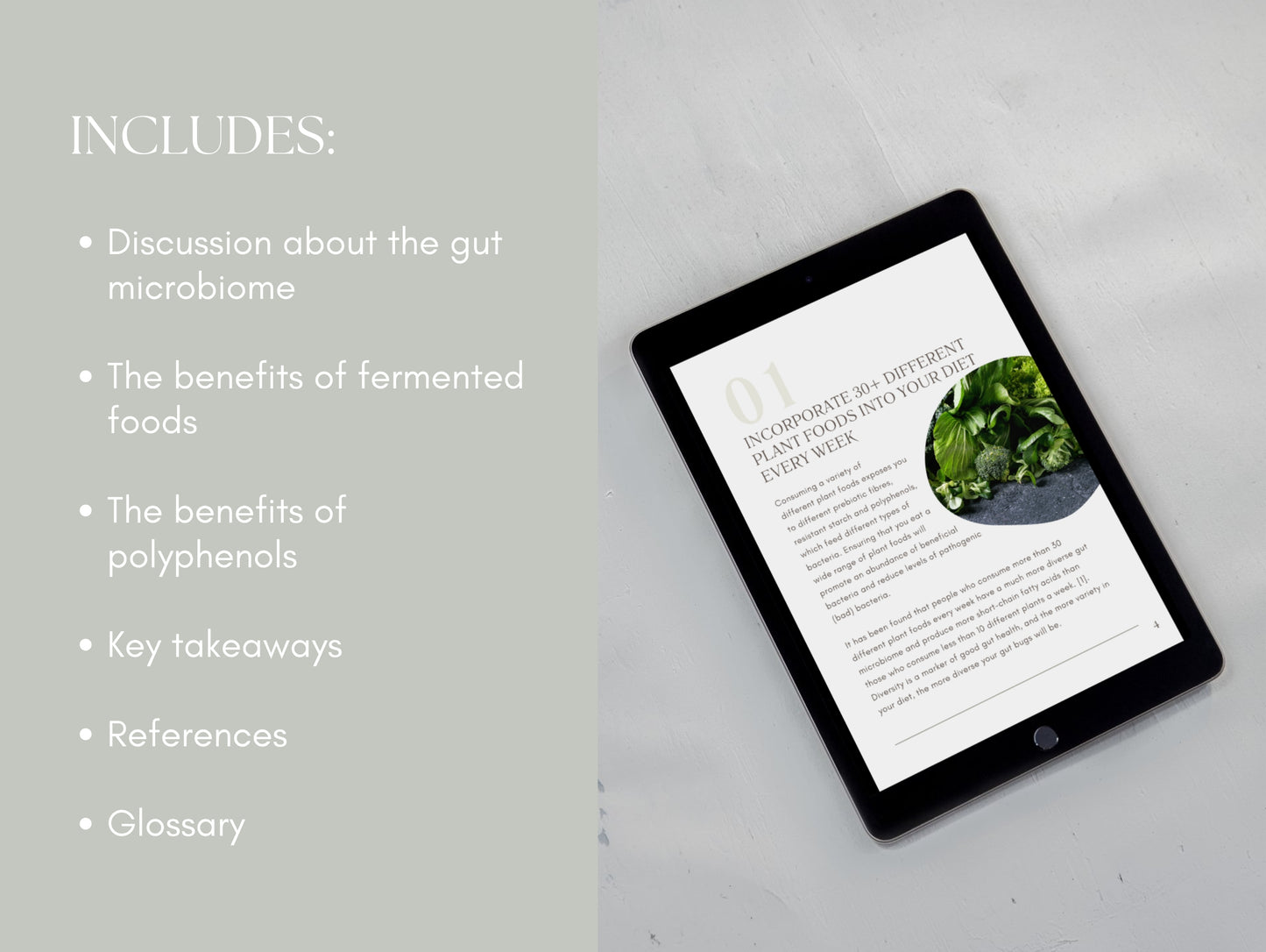 Microbiome and digestion eBook Canva template for nutritionists