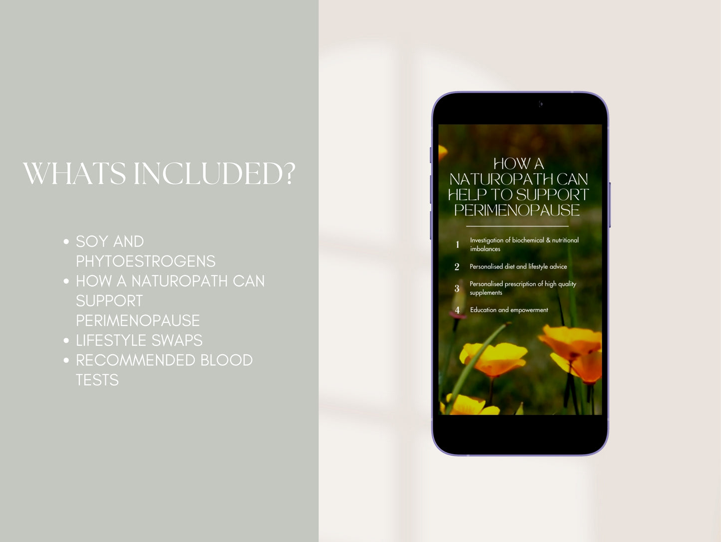 Perimenopause content for Instagram reels health professionals