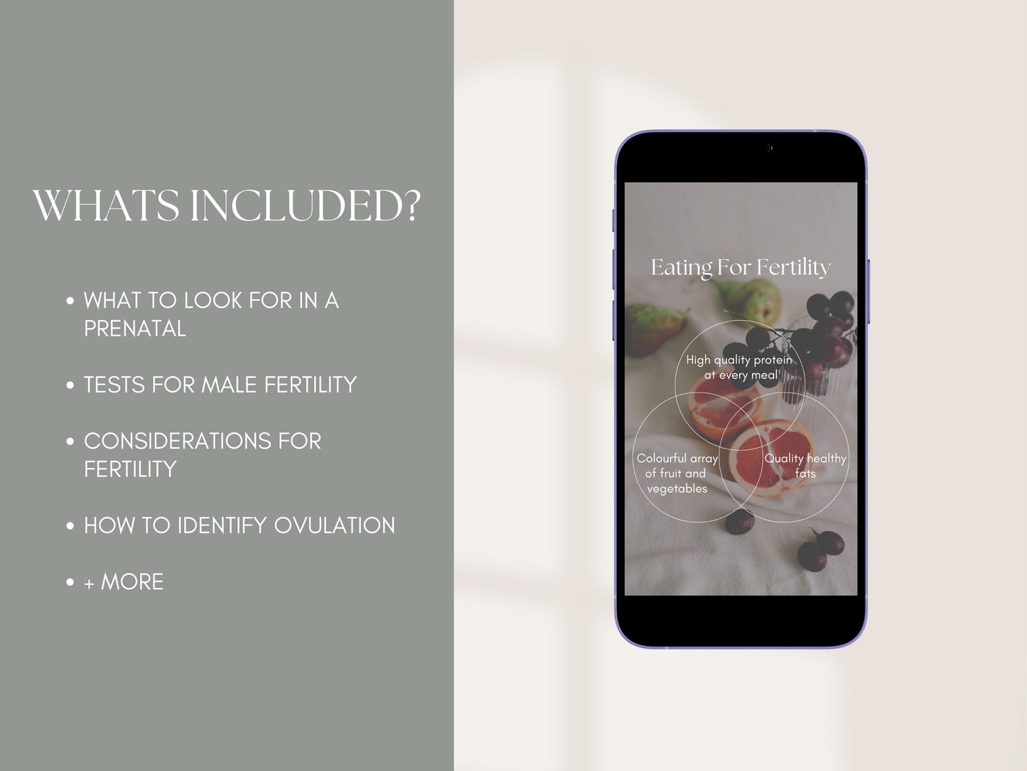 Canva preconception reels for naturopaths and functional practitioners