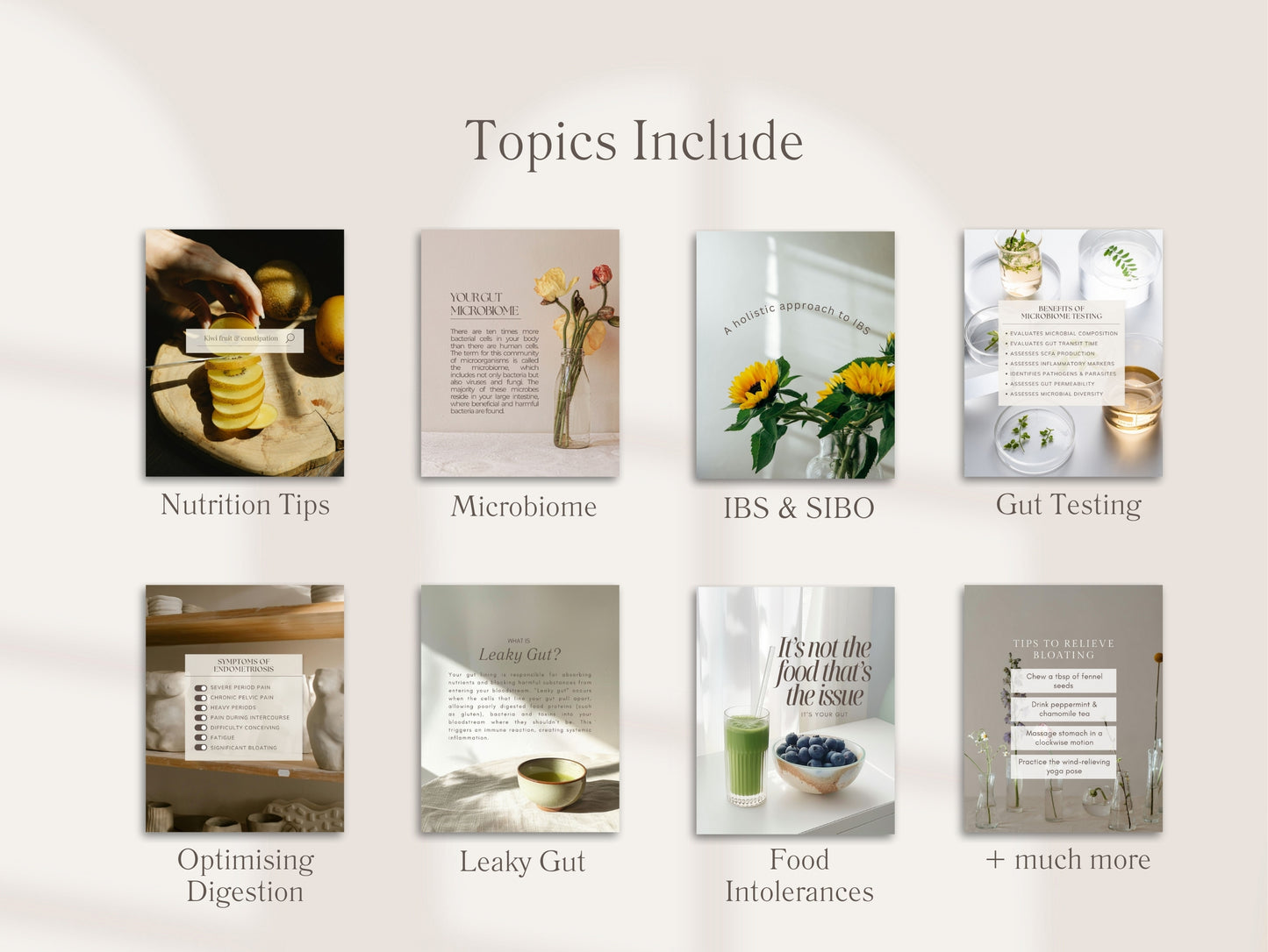 Canva gut health Instagram posts for wellness professionals covering microbiome, SIBO, IBS