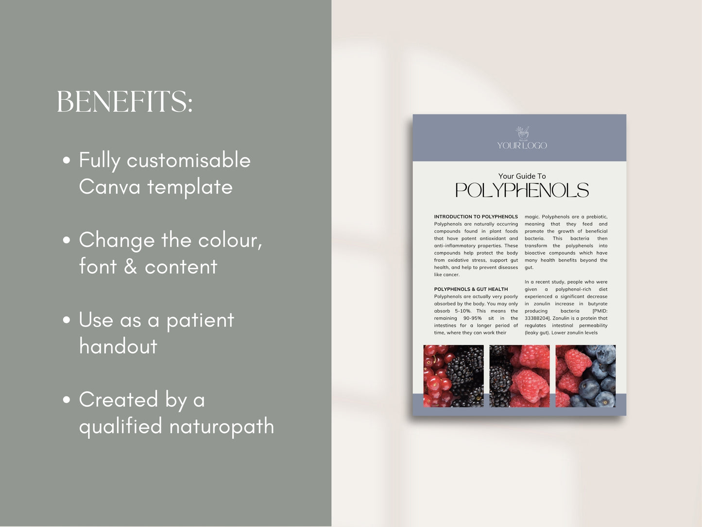 Editable polyphenol patient handout for integrative health practitioners