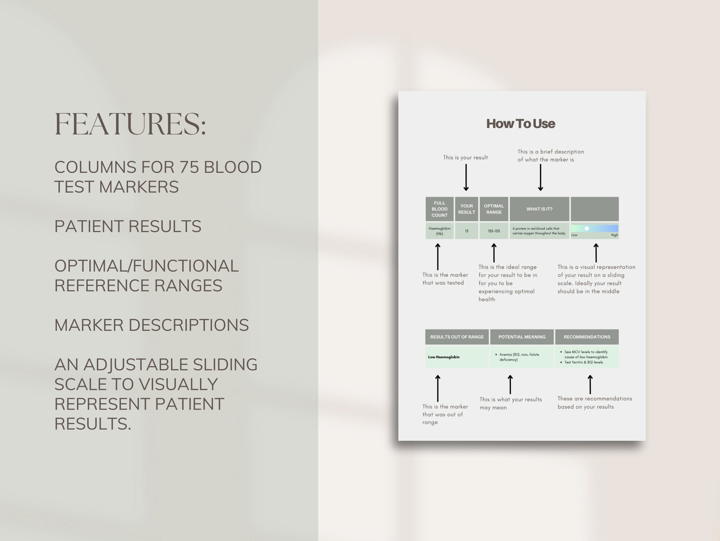Canva blood results report for client education and health consults