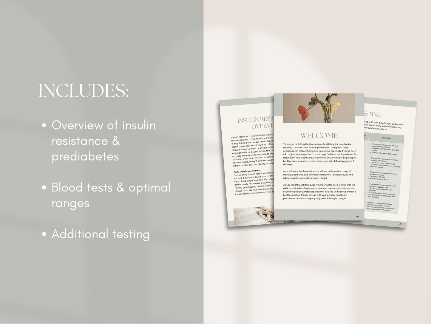 Insulin Resistance Booklet