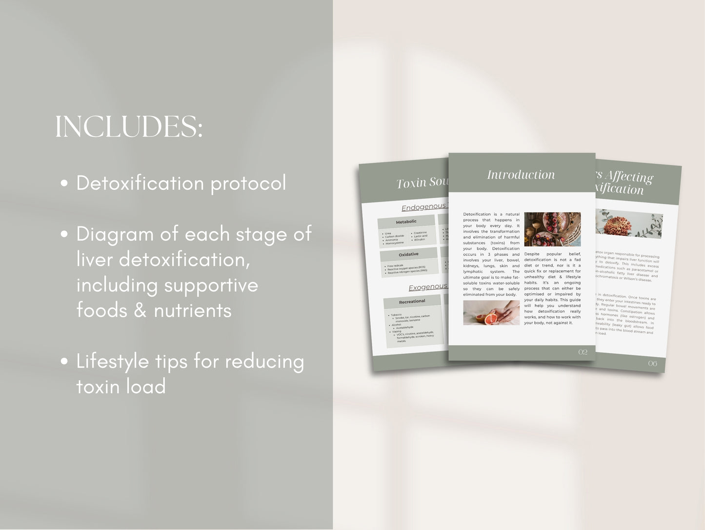Detoxification Patient Booklet