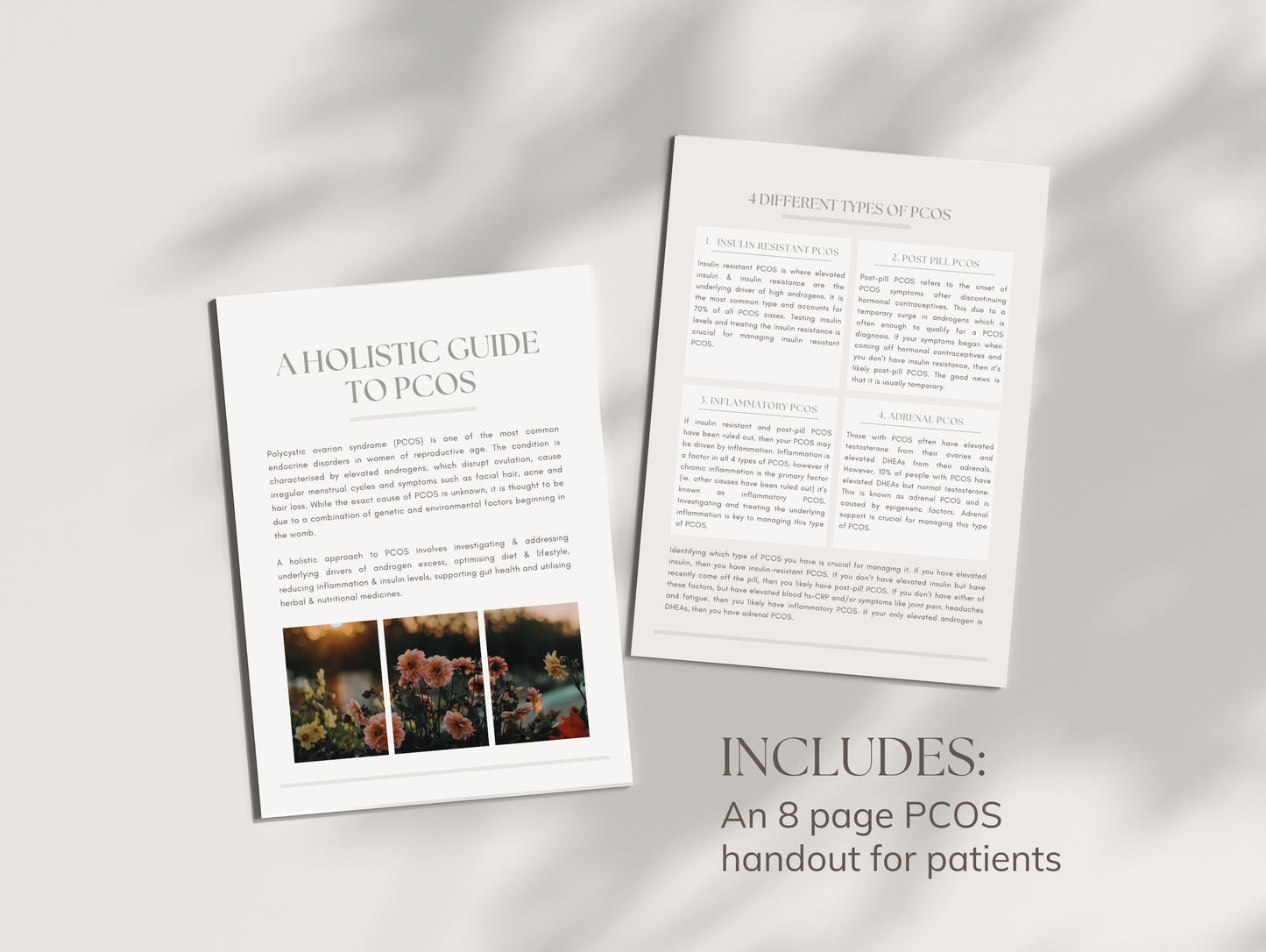Done-for-you PCOS guide for holistic health professionals and nutritionists
