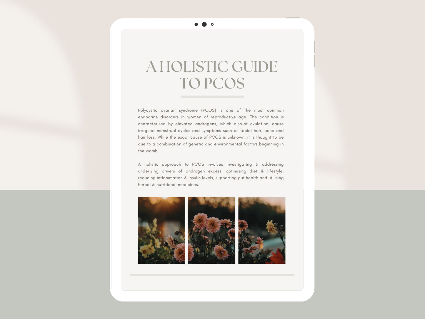 Comprehensive PCOS booklet for naturopaths and dietitians