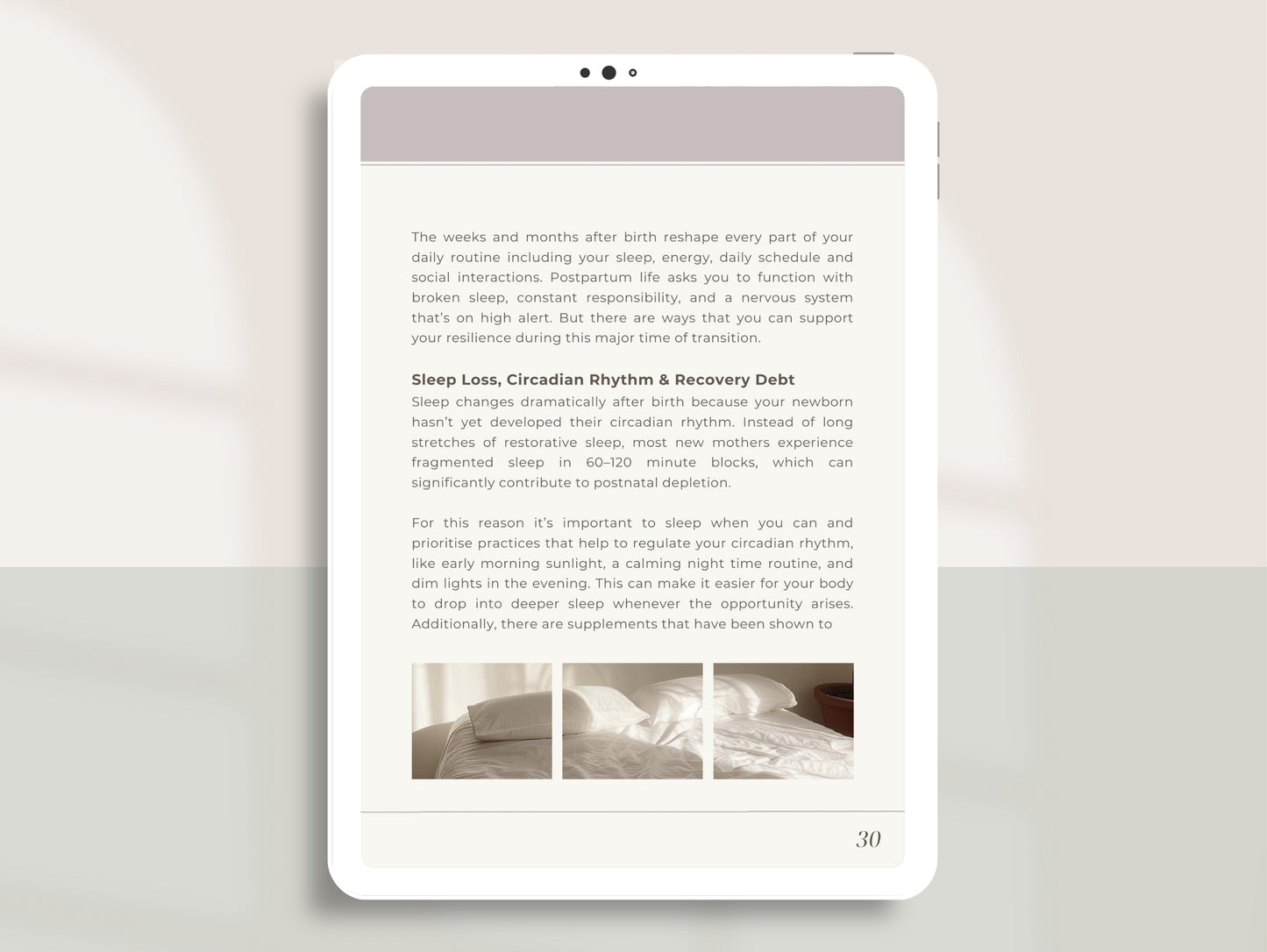 Postnatal Depletion Ebook