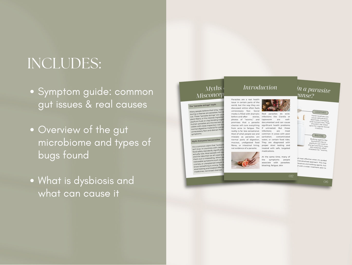 Gut Parasite Patient Booklet