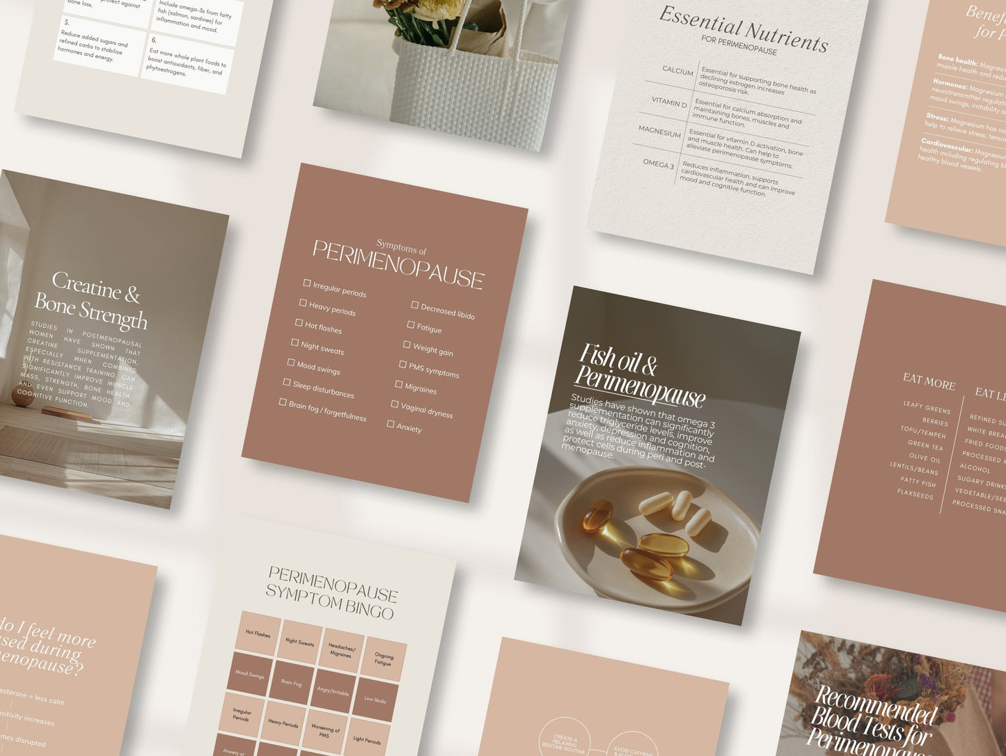 Perimenopause Instagram Canva Templates