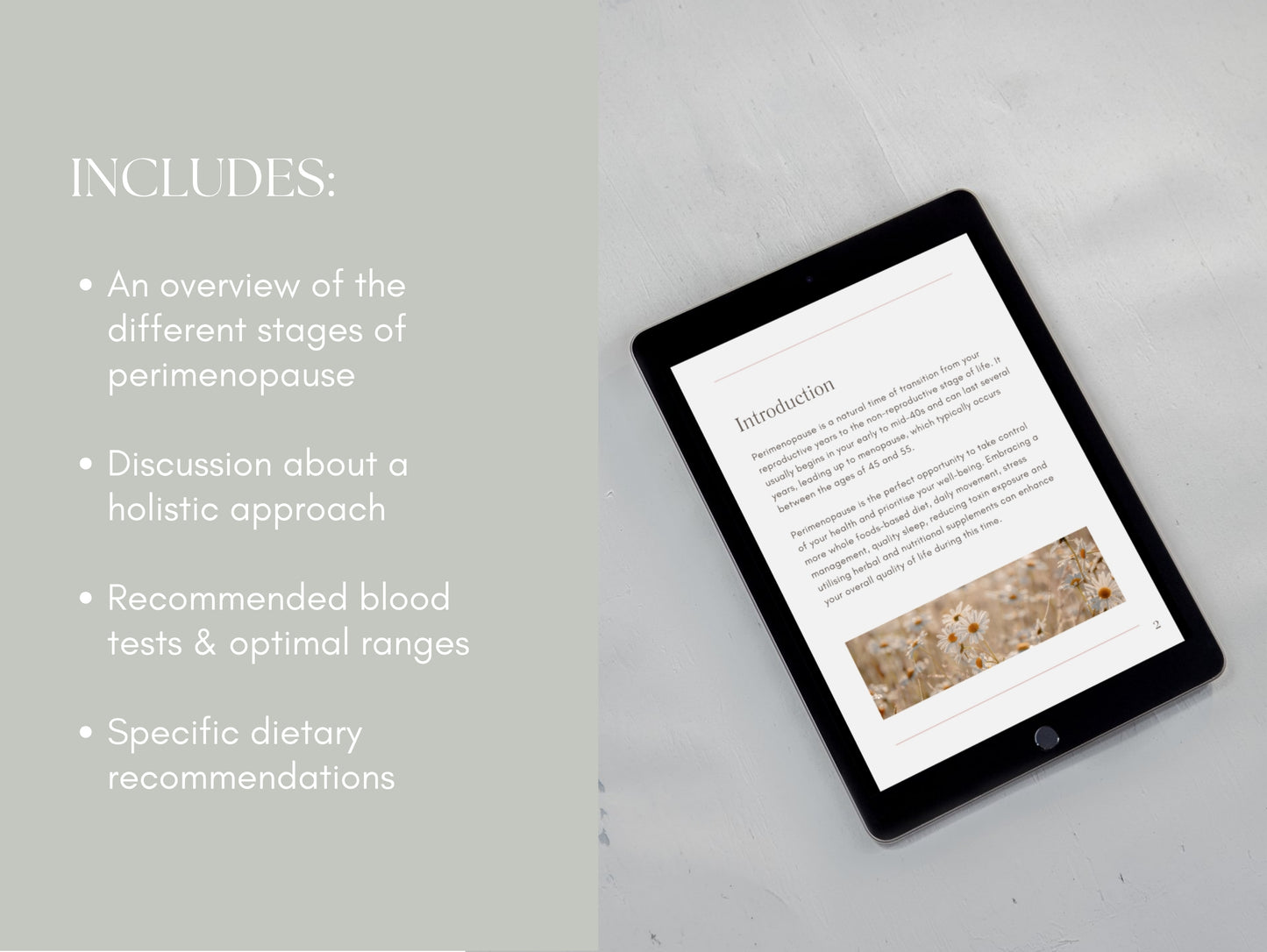 Perimenopause education eBook Canva template for nutritionists