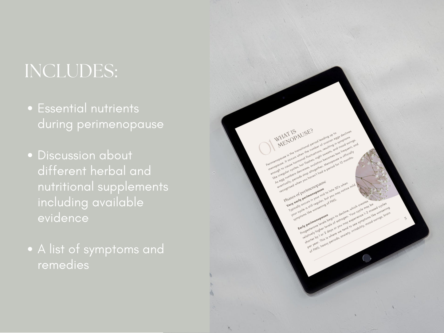 Perimenopause support eBook for holistic practitioners