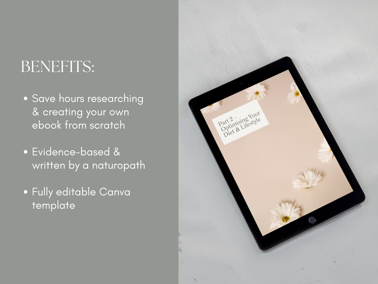 Canva perimenopause eBook template for client education and resources