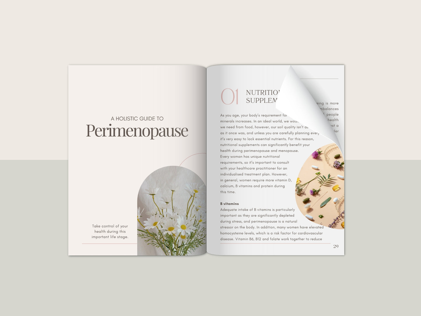 Perimenopause eBook Canva template for naturopaths and wellness professionals