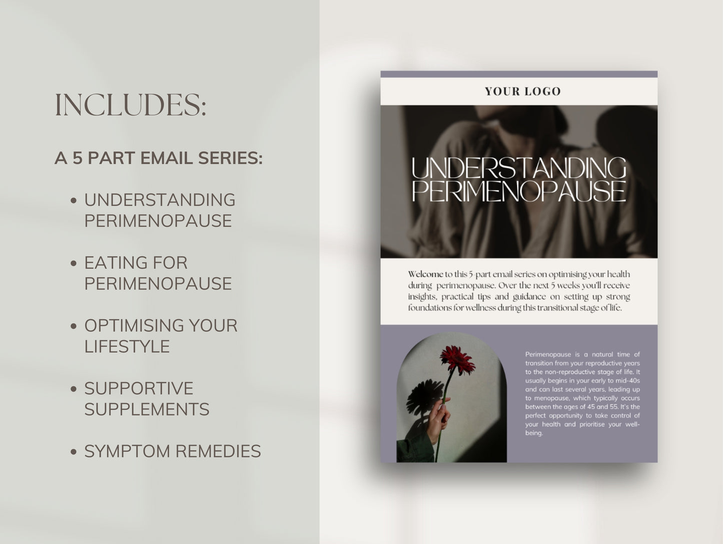 White-label perimenopause email series for holistic health professionals