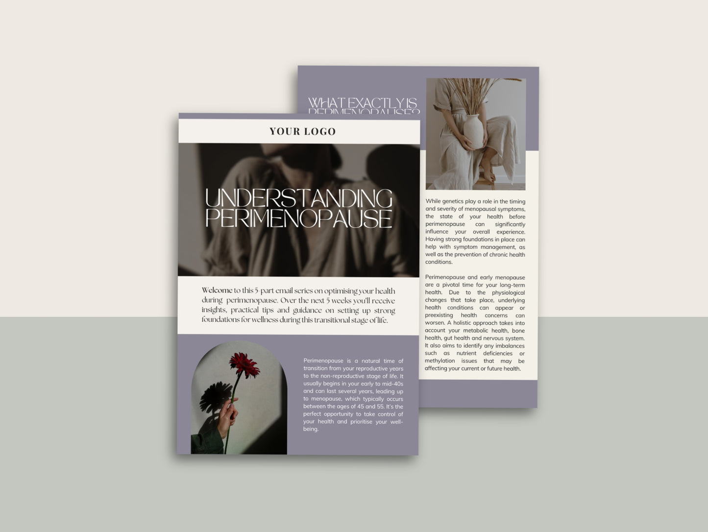 Perimenopause email series for naturopaths and hormone health practitioners