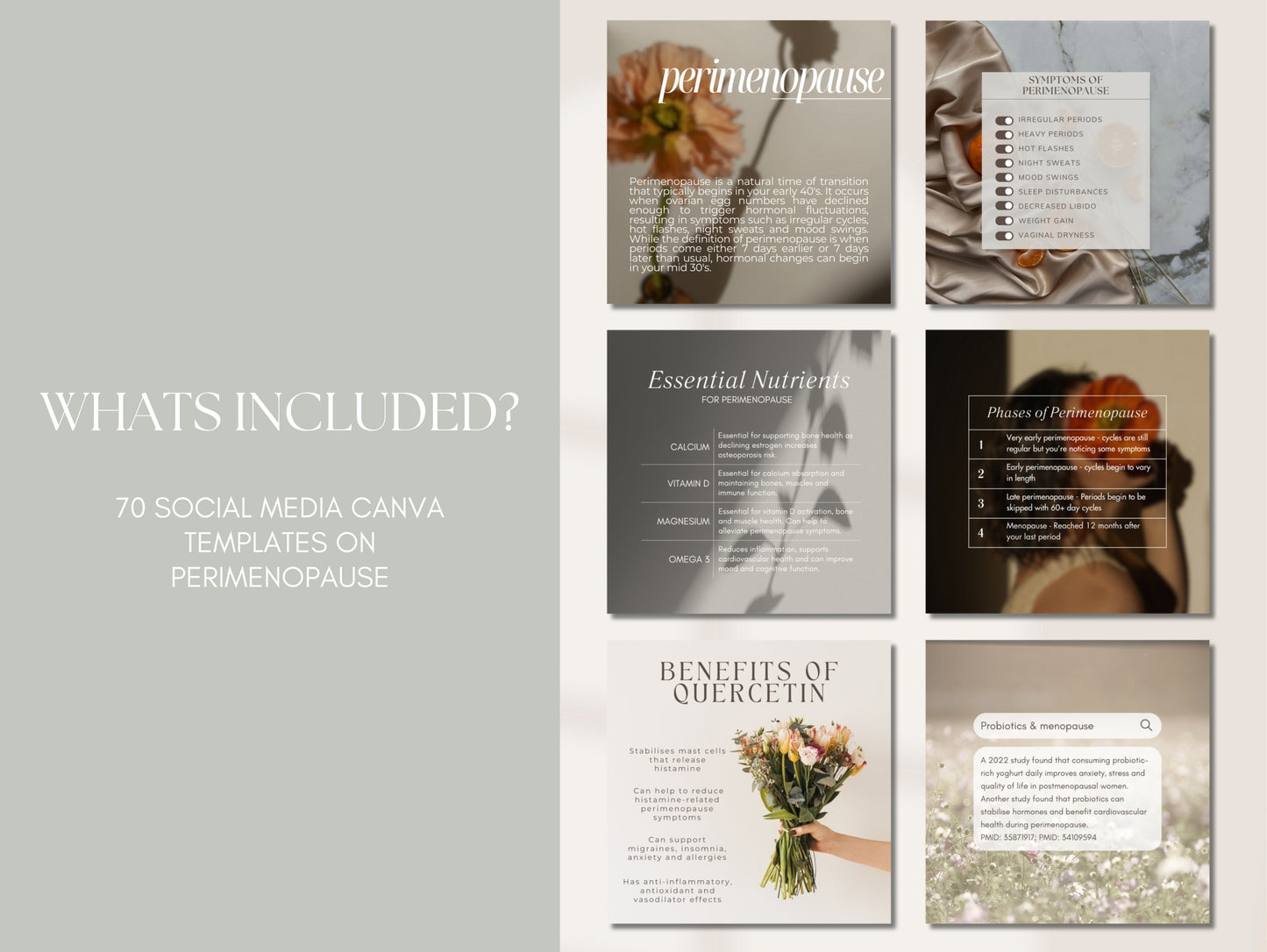 Perimenopause social media post templates for holistic practitioners