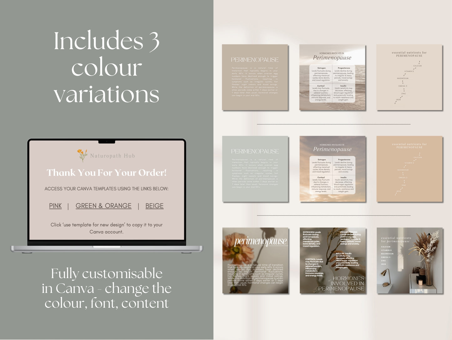 Holistic perimenopause Canva content for practitioners