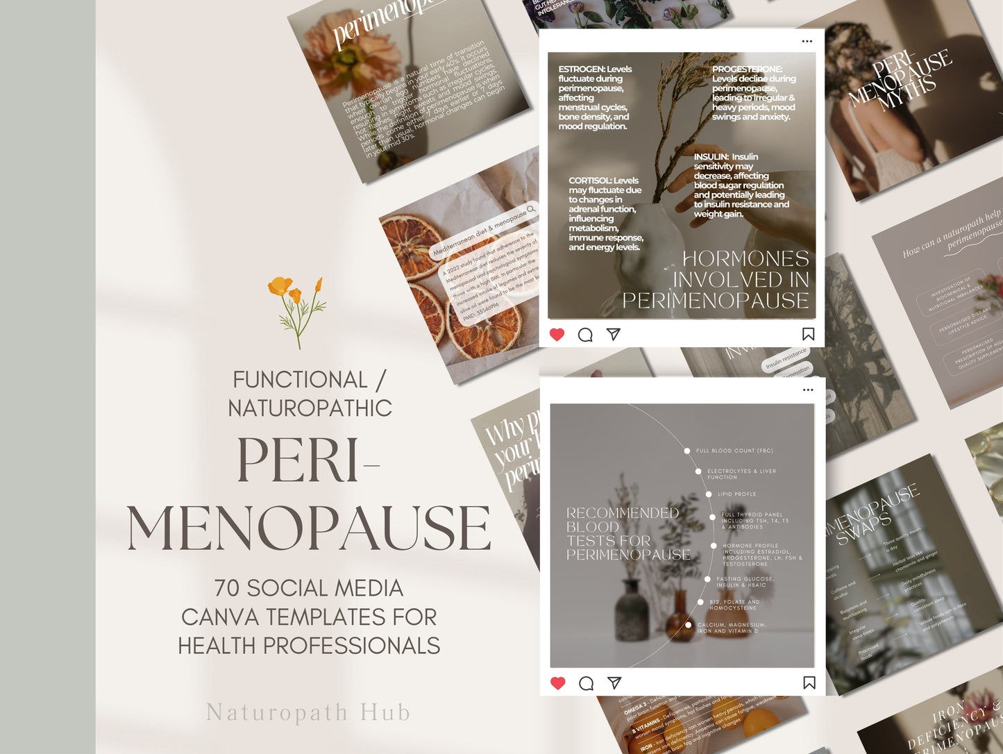 Menopause Canva Instagram templates for naturopaths