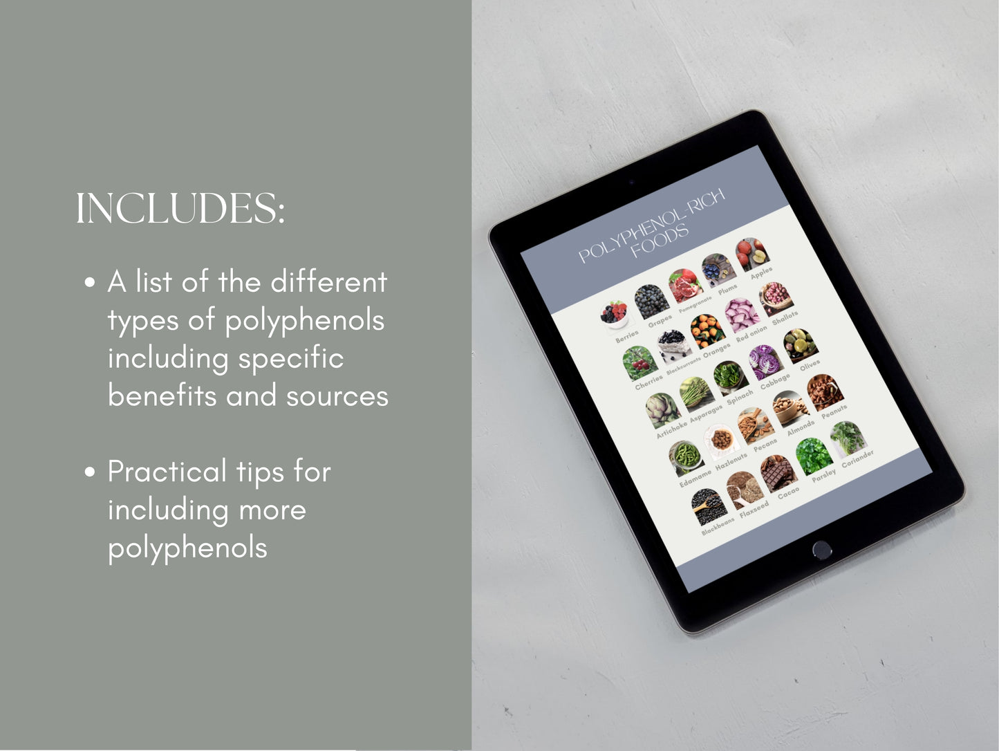 Canva polyphenol handout template for wellness professionals and herbalists