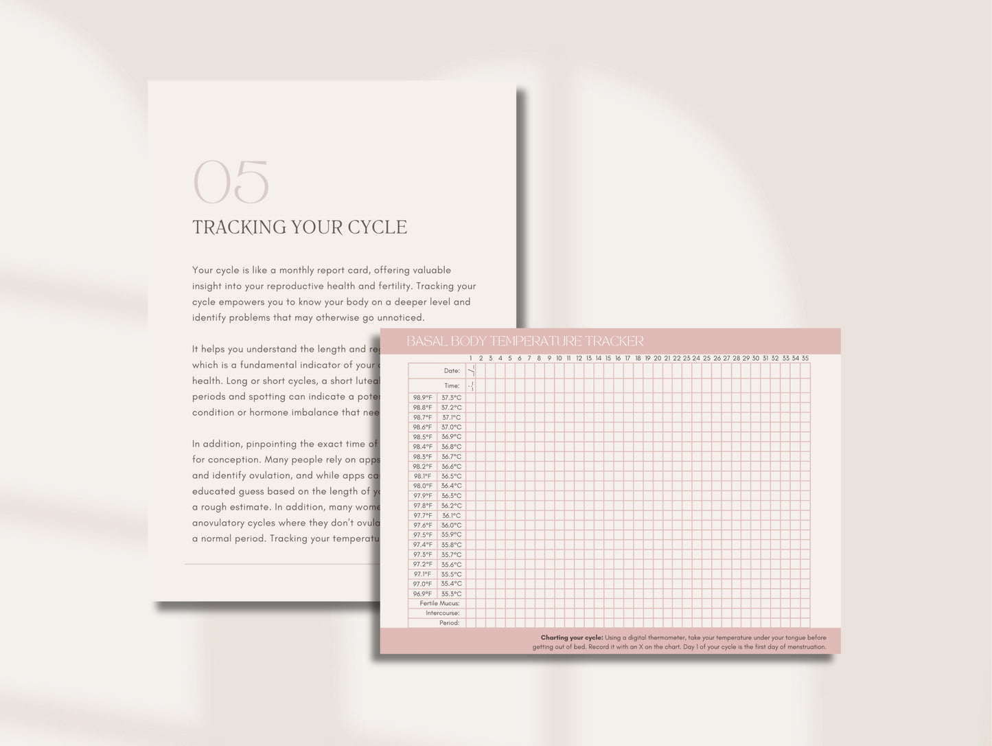 Functional fertility preconception ebook