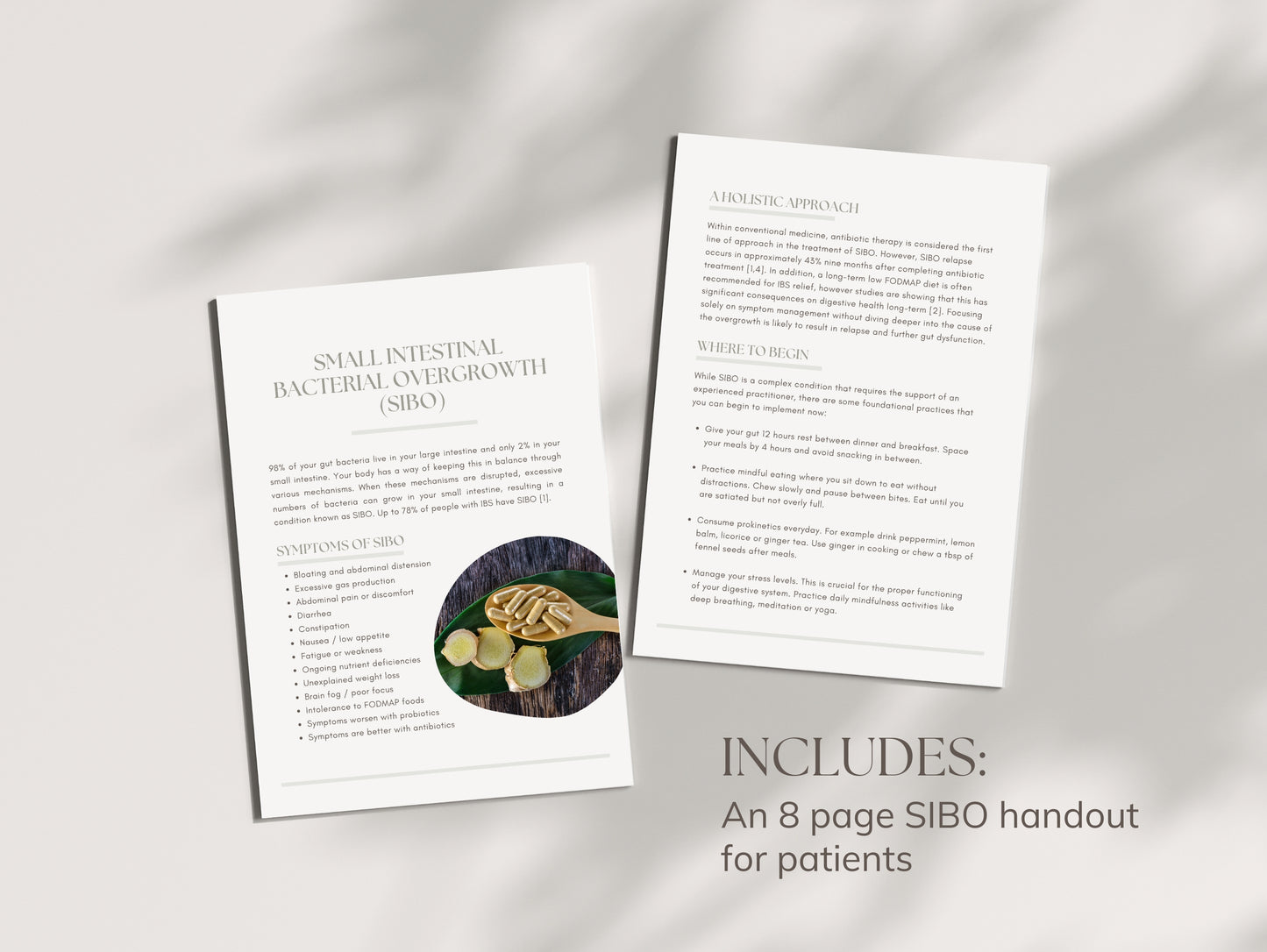 Done-for-you SIBO guide for holistic health professionals and nutritionists