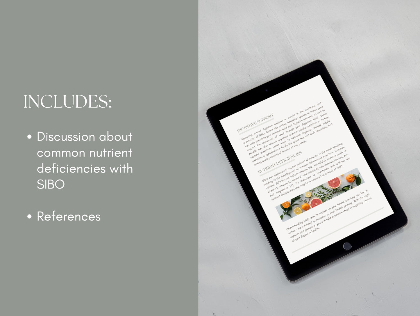 Comprehensive SIBO recovery booklet for naturopaths and dietitians