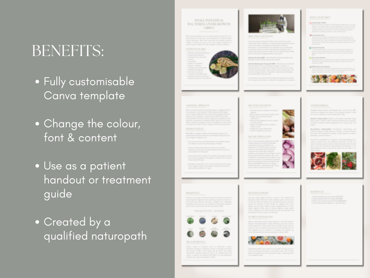 PLR SIBO patient booklet for passive income and client education