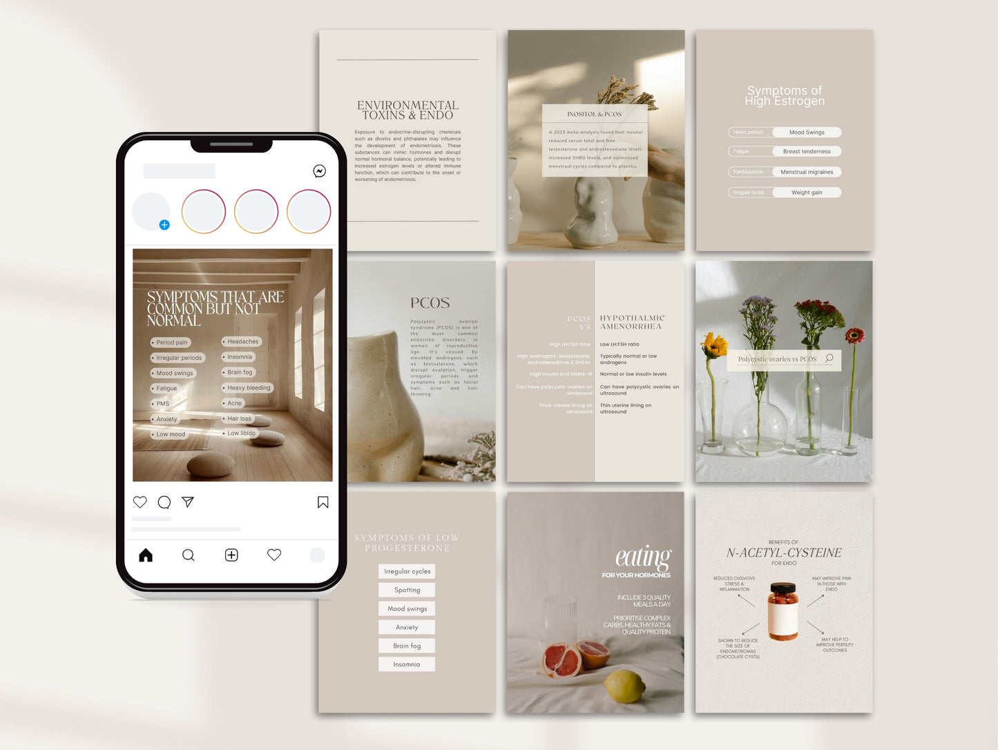PLR Instagram hormone templates for passive income and client education