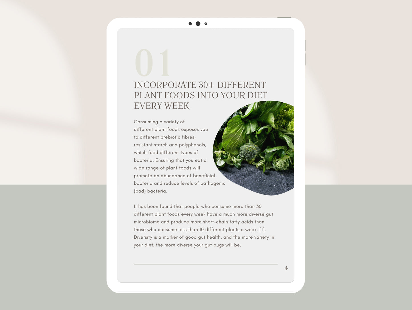Gut health client education PLR template for passive income streams