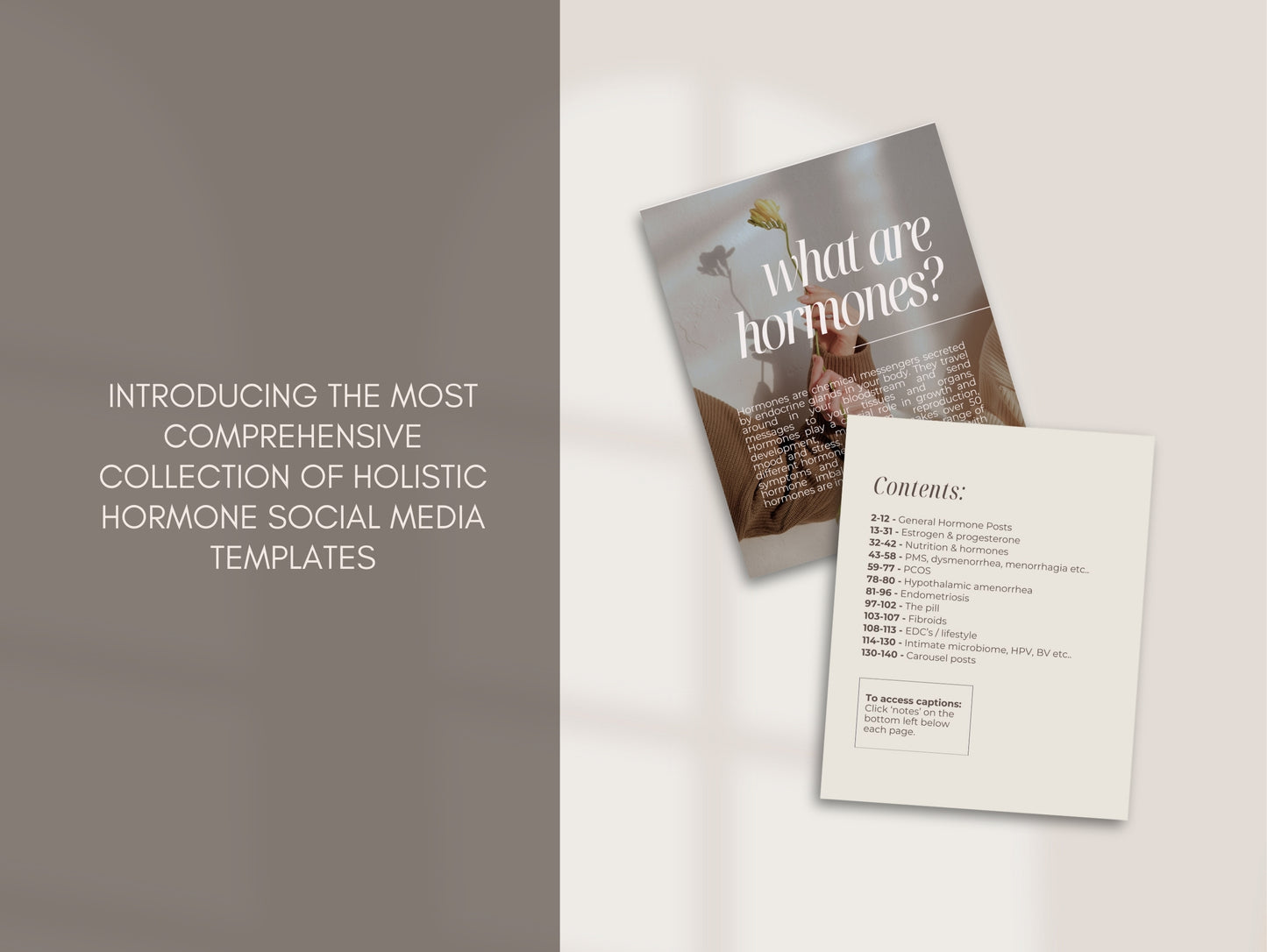 Holistic hormone social media templates with a post and content list on a light background