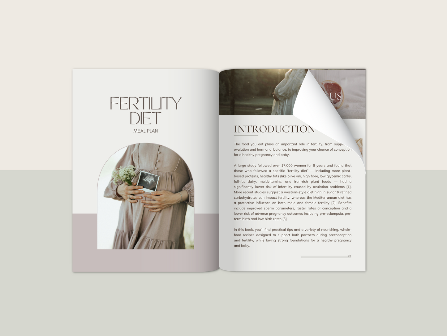 Fertility meal plan Canva template for naturopaths